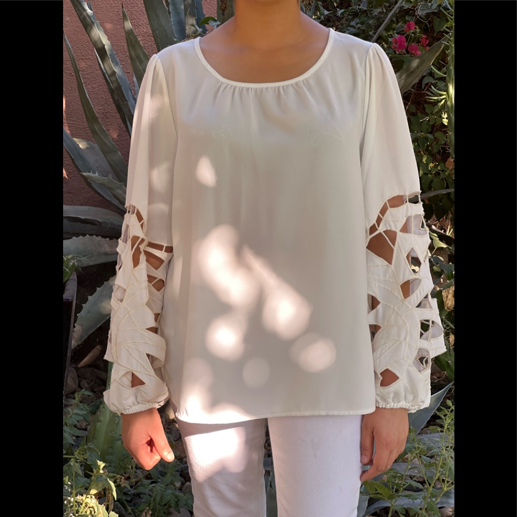 Nwt Joie Cut Out Embroidered Balloon Sleeve Blouse-Size Xl